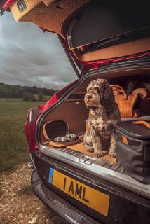 Kofferbank met poedel (hond) Aston Martin DBX 2020