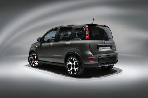 Achterkant Fiat Panda Sport 2020