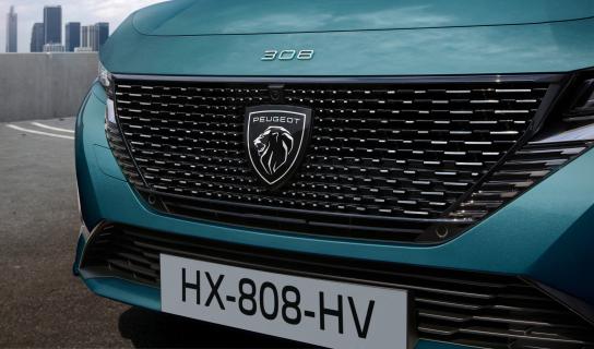 Grille Peugeot 308 SW