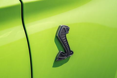 Badge Ford Mustang Shelby GT500 (logo)