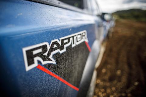 Ford Ranger Raptor Special Edition sticker