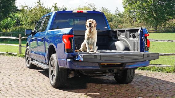 Ford F-150 Lightning achterbak met hond