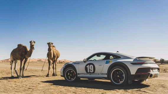 Porsche 911 Dakar naast twee kamelen (kameel)