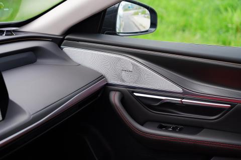 Xpeng P7 AWD Performance (2023) interieur detail deur speaker