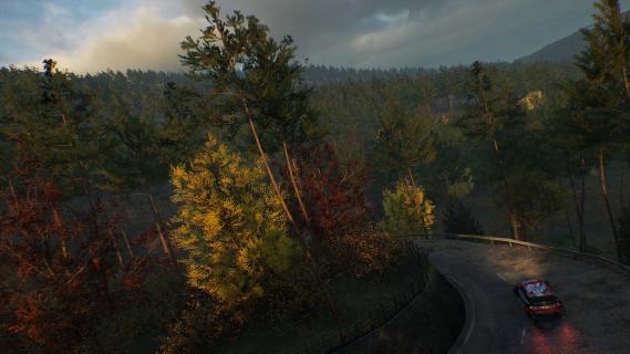 EA Sports WRC-game screenshot bossen