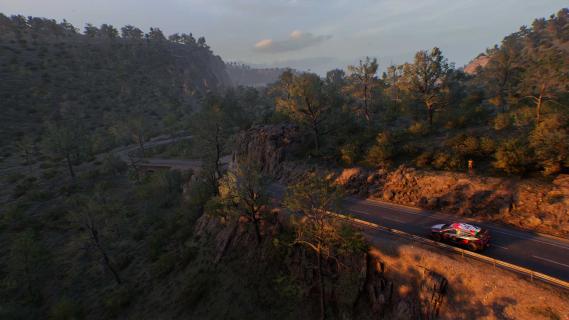 EA Sports WRC-game screenshot gebied