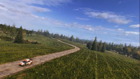 EA Sports WRC-game screenshot landschap