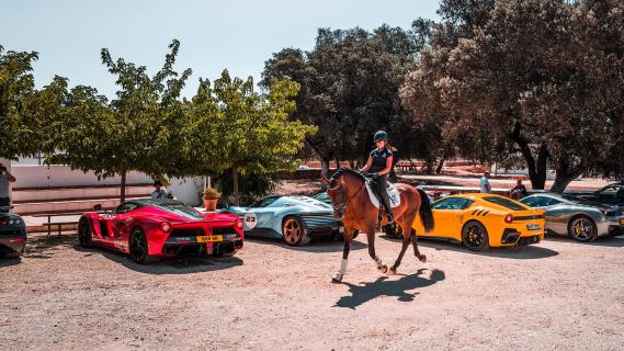 Supercar Owners Circle 2024 Ferrari's achterkant en paard met ruiter