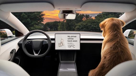 Tesla Model 3 RWD cockpit met hond verkoeling