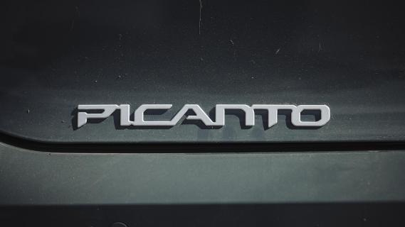 Kia Picanto (2024) groen badge