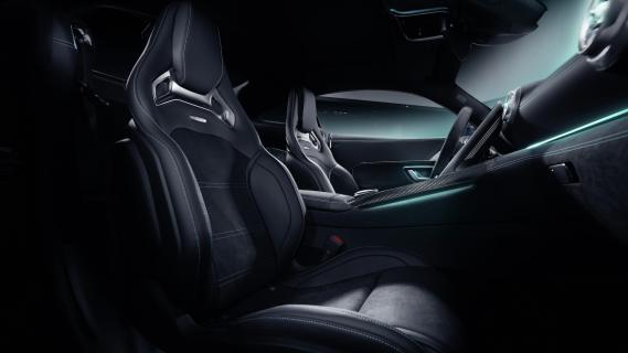 Mercedes-AMG GT Pro Motorsport Collectors Edition (2024) zwart interieur stoelen