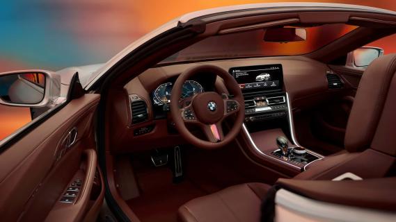 BMW Skytop interieur dashboard bruin