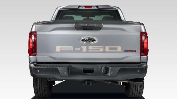 Ford F-150 XL FP700S 2024 grijs badge achterzijde