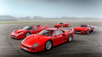 Ferrari topmodellen bloedlijn