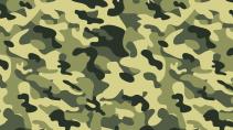 Designuitstapjes: Camouflage door Harley Earl