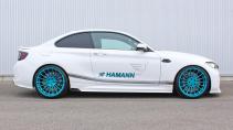 Hamann M2