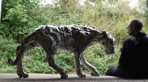 hubcap creatures wieldopmonsters ptomely elrington wieldopmonsters 2017