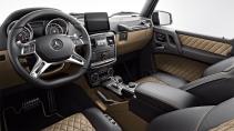 De Mercedes-AMG G 65 Exclusive Edition