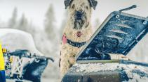 Sneeuwpret met sneeuwgekkies
