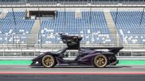 Apollo Intensa Emozione paars