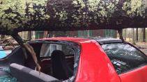 Motortakel redt auto van gelukkige bastaard