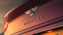 Bentley Continental GT achterklep badge