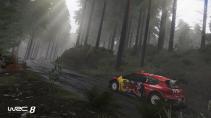 WRC 8