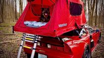 Honda NSX met daktent en hond