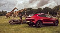 Aston Martin DBX 2020 met giraffen