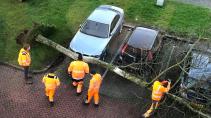 BMW 5-serie omgewaaide boom