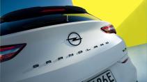 Opel Grandland GSe schuin achter dicht bij