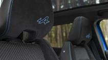 Renault Austral hoofdsteunen