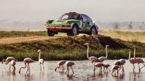 Safari Classic Rally klassieke Porsche Tuthill flamingos
