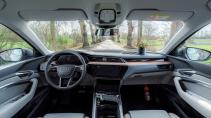 Audi Q8 e-tron car plant bloem op het dashboard
