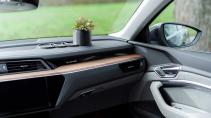 Audi Q8 e-tron car plant bloem op het dashboard