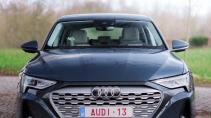 Audi Q8 e-tron car plant bloem op het dashboard voorkant
