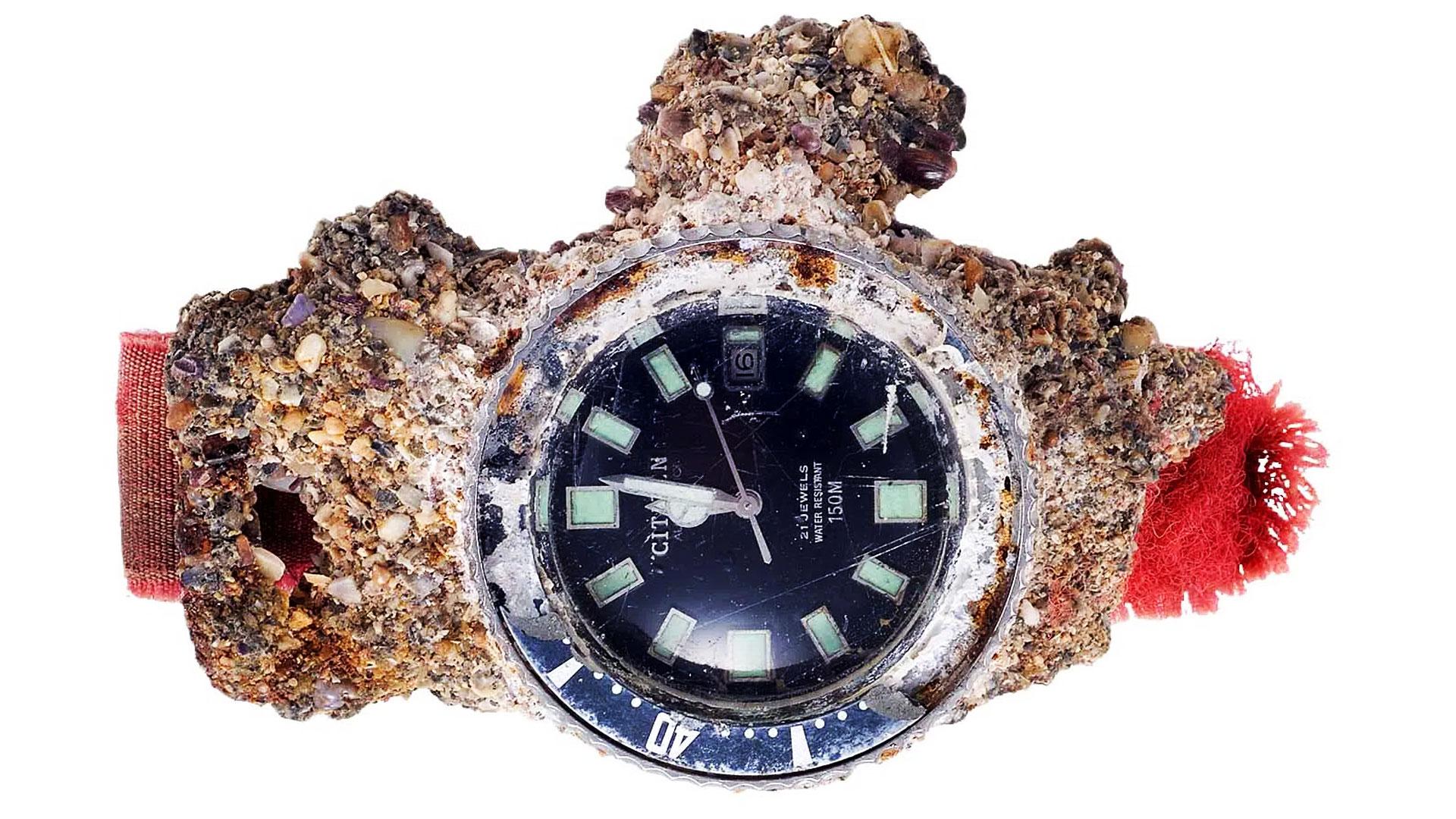 CitiZen of Peace – Intersoul 限定プロモDVD付 Citizen Promaster Diver Fujitsubo 35th Anniversary Limited